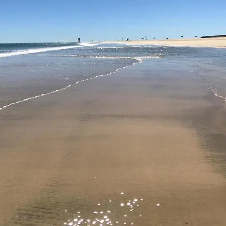 Apartamento Welooveyou Wildlife *