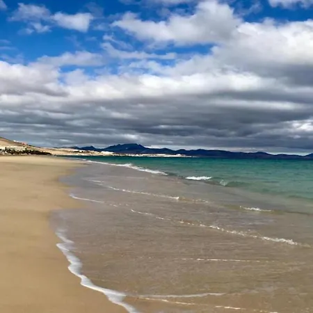 Welooveyou Wildlife Lajita