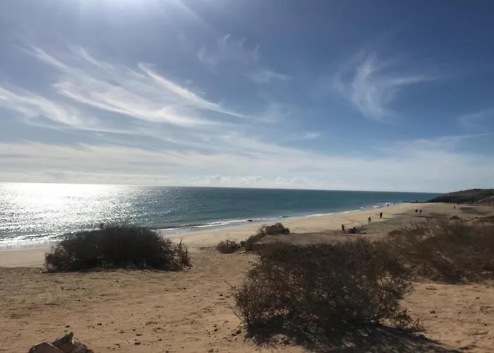 Welooveyou Wildlife *